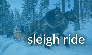 sleigh ride banner