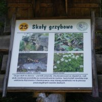 Educational – nature path on  Mount Barania; fot. noclegiwisla.com