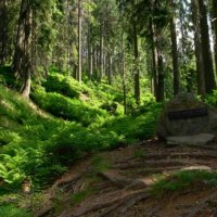 Nature Reserve of Mount Barania