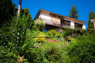 Atrakcje POD BRZÓZKĄ